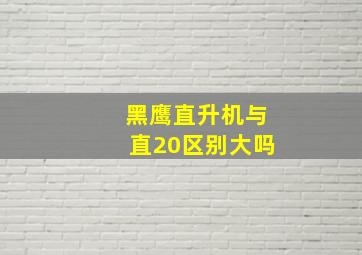 黑鹰直升机与直20区别大吗