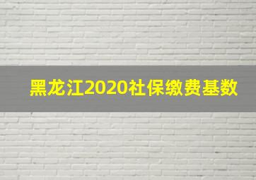 黑龙江2020社保缴费基数