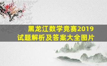 黑龙江数学竞赛2019试题解析及答案大全图片