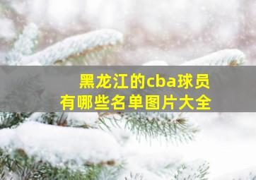 黑龙江的cba球员有哪些名单图片大全