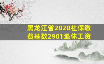 黑龙江省2020社保缴费基数2901退休工资