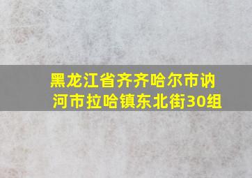 黑龙江省齐齐哈尔市讷河市拉哈镇东北街30组