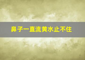 鼻子一直流黄水止不住