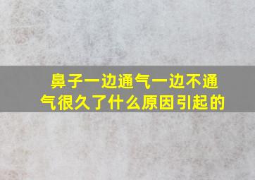 鼻子一边通气一边不通气很久了什么原因引起的