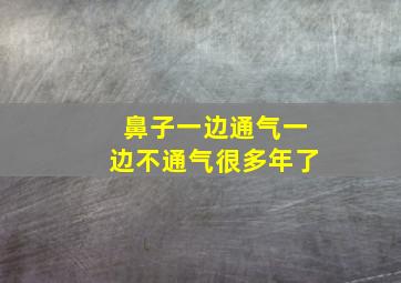 鼻子一边通气一边不通气很多年了