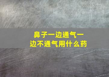 鼻子一边通气一边不通气用什么药