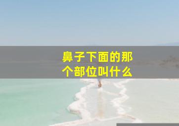 鼻子下面的那个部位叫什么