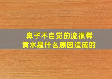 鼻子不自觉的流很稀黄水是什么原因造成的