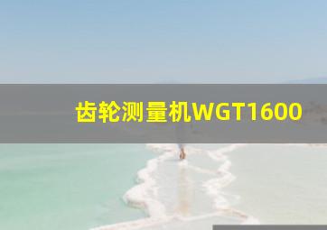 齿轮测量机WGT1600