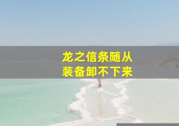 龙之信条随从装备卸不下来