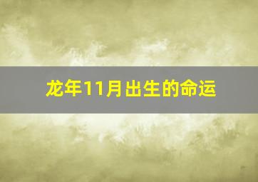 龙年11月出生的命运