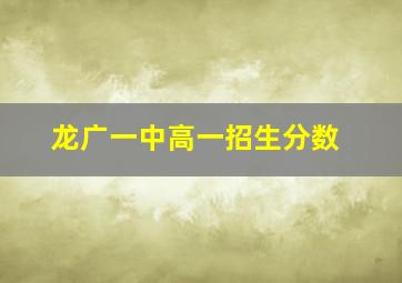 龙广一中高一招生分数