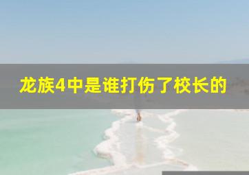 龙族4中是谁打伤了校长的