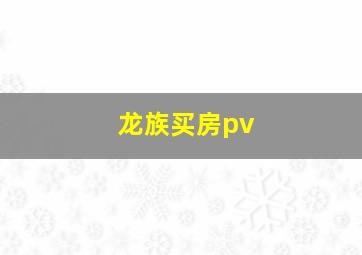 龙族买房pv