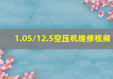 1.05/12.5空压机维修视频