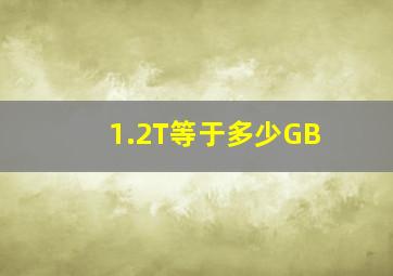 1.2T等于多少GB