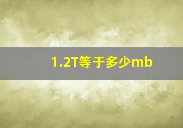 1.2T等于多少mb