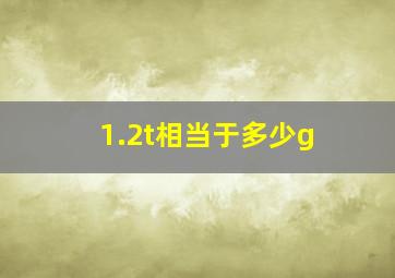 1.2t相当于多少g