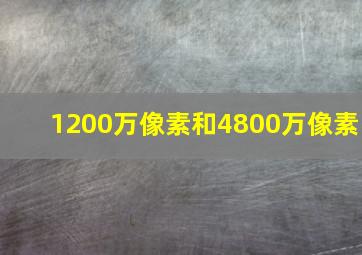 1200万像素和4800万像素