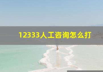 12333人工咨询怎么打