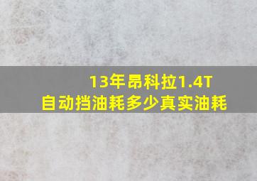 13年昂科拉1.4T自动挡油耗多少真实油耗