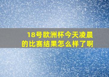 18号欧洲杯今天凌晨的比赛结果怎么样了啊