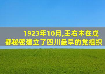 1923年10月,王右木在成都秘密建立了四川最早的党组织