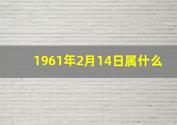 1961年2月14日属什么