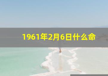 1961年2月6日什么命