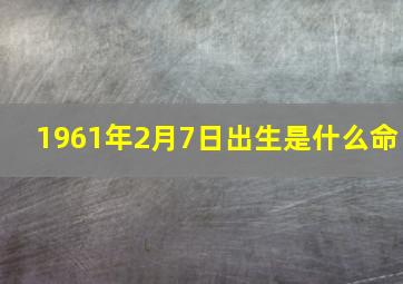 1961年2月7日出生是什么命