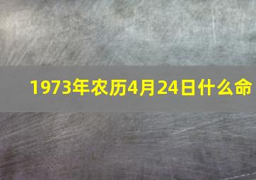 1973年农历4月24日什么命