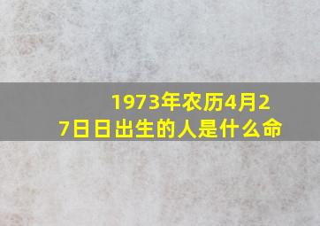 1973年农历4月27日日出生的人是什么命