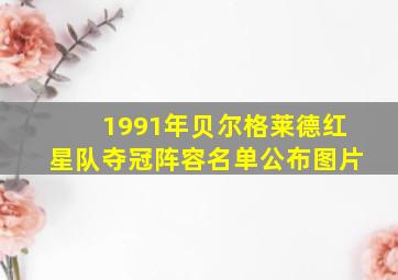 1991年贝尔格莱德红星队夺冠阵容名单公布图片