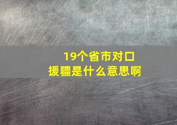 19个省市对口援疆是什么意思啊