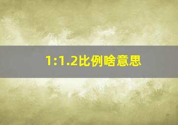 1:1.2比例啥意思