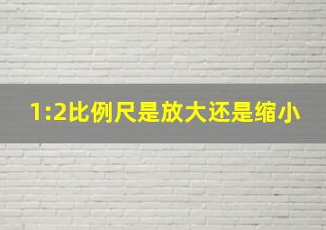 1:2比例尺是放大还是缩小