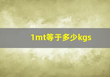 1mt等于多少kgs