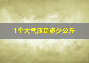 1个大气压是多少公斤