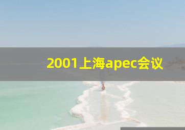 2001上海apec会议