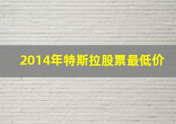 2014年特斯拉股票最低价