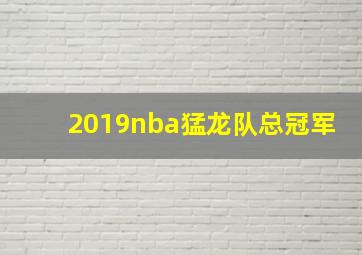 2019nba猛龙队总冠军