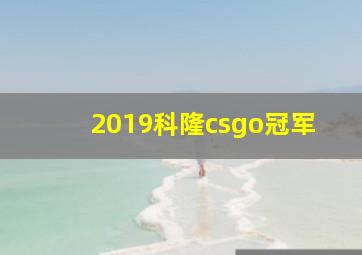 2019科隆csgo冠军