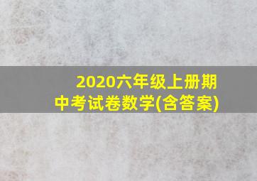 2020六年级上册期中考试卷数学(含答案)