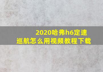 2020哈弗h6定速巡航怎么用视频教程下载