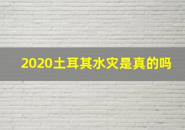 2020土耳其水灾是真的吗