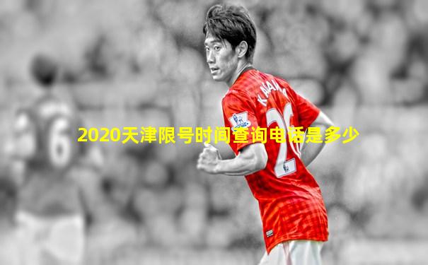 2020天津限号时间查询电话是多少