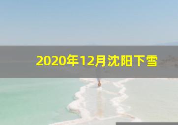 2020年12月沈阳下雪