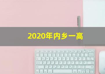 2020年内乡一高