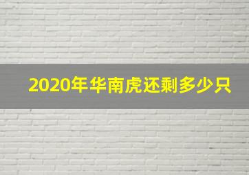 2020年华南虎还剩多少只