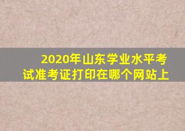 2020年山东学业水平考试准考证打印在哪个网站上